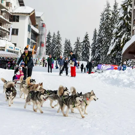 Holiday home Elitza *