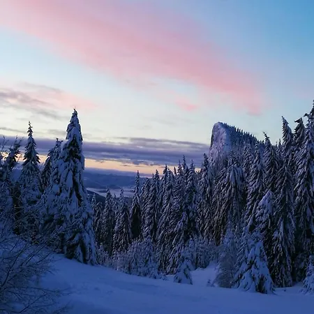Elitza Pamporovo