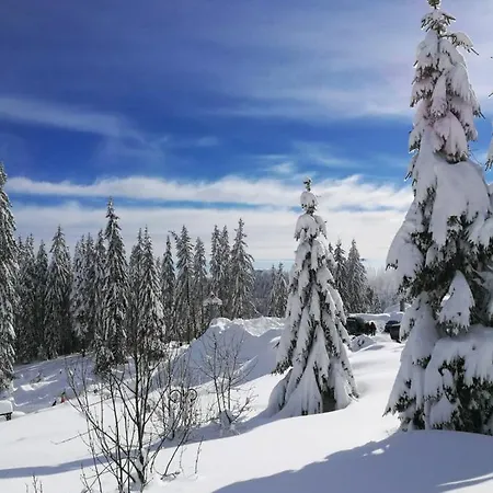 Elitza Holiday home Pamporovo