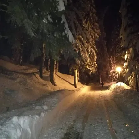Elitza Holiday home Pamporovo