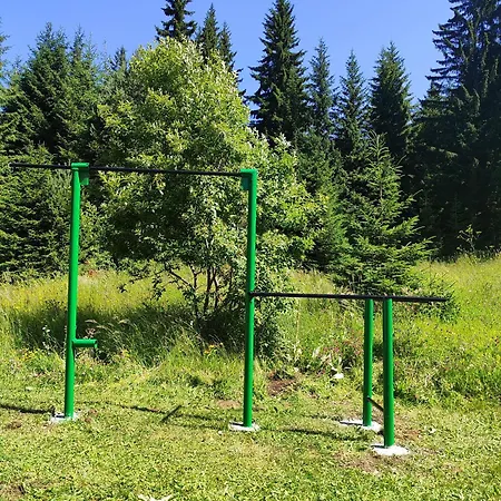 Holiday home Elitza Pamporovo