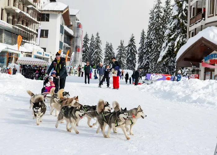 Holiday home Elitza *