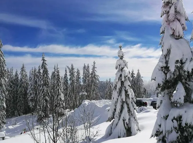 Elitza Holiday home Pamporovo