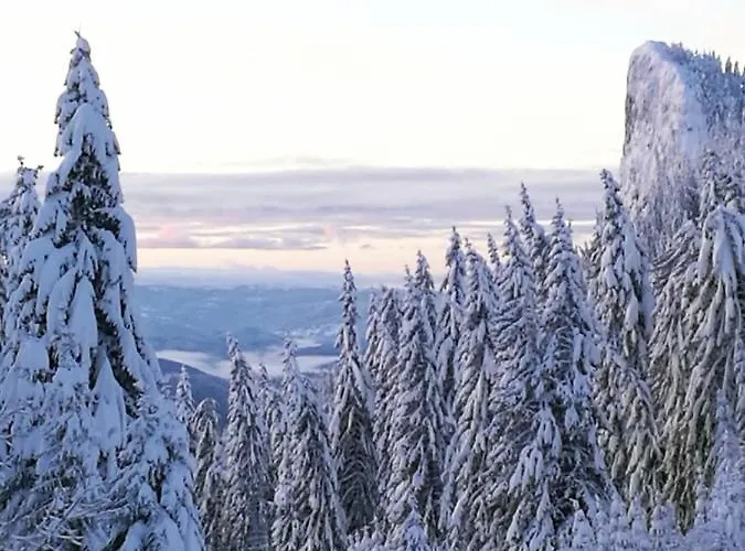 Сasa de vacaciones Elitza