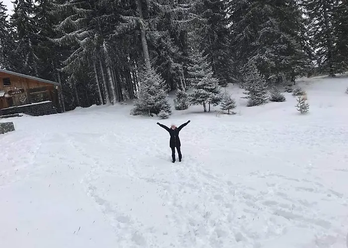 Elitza Holiday home *