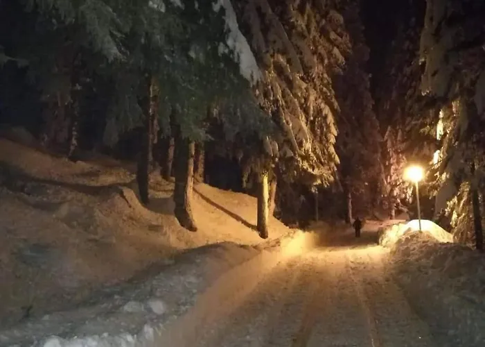 Elitza Holiday home Pamporovo