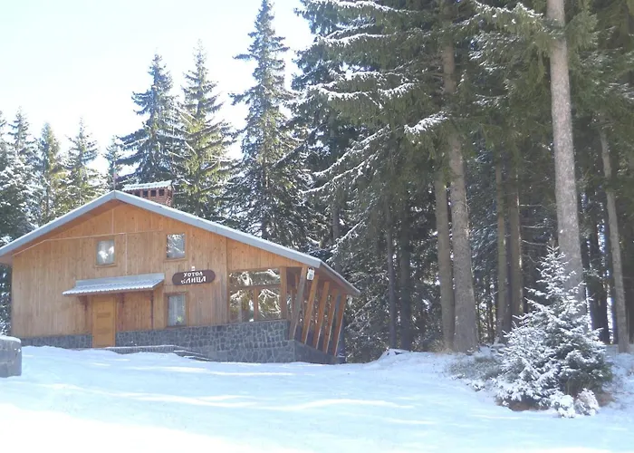 Holiday home Elitza Pamporovo