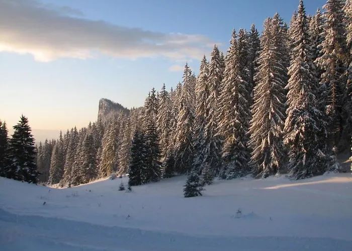 Elitza Holiday home *